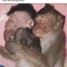 seu chico profil fotoğrafı