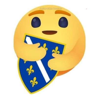 ElvirBecirovic2's profile picture