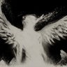 Фото профиля xX!REVENGE.
