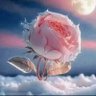 سالم ♥القلب الحنون ♥ 的头像