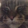 Erlend's profile picture