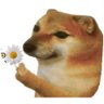 Alex 🌵🔥🏹🌵 profil fotoğrafı
