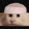 M's profile picture