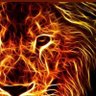 Evren Ka's profile picture