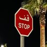 Profilbild von أبو ذؤيب الهذلي