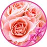 めぐ's profile picture