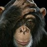 Profilbild von Omie Shantz