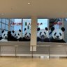 Prairie.Panda 的头像