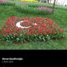 Profilbild von MURAT KANDİLCİOĞLU