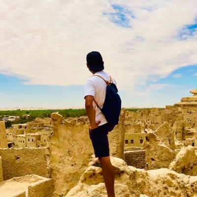 はせ 世界一周's profile picture