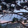 🦋Beautiful World🦋's profile picture