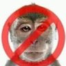 bndixo's profile picture