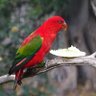 Graham Furnell profil fotoğrafı