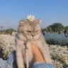 rose profil fotoğrafı