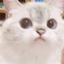 6yeji_'s profile picture