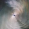 Profilbild von aquarian riddle