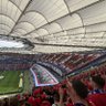 dominik profil fotoğrafı