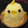 Profilbild von Piyo-Ring