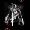 TEMPLÁRIO DOMÍNIOS ESPIRITUAL ⚔'s profile picture