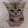 Ali's profile picture
