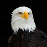 Athinkerman profil fotoğrafı