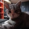 @la sofi profil fotoğrafı