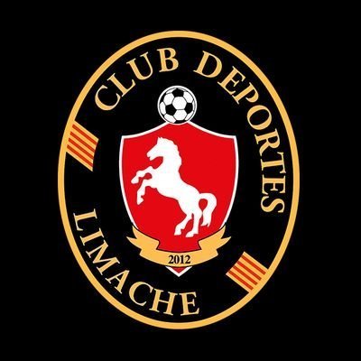 deportes limache's profile picture