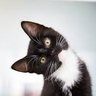 Toby Faber profil fotoğrafı