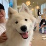 白馬くん profil fotoğrafı