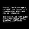 Búfalo 📏 的头像