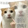 往你皮燕里塞鞭炮 profil fotoğrafı