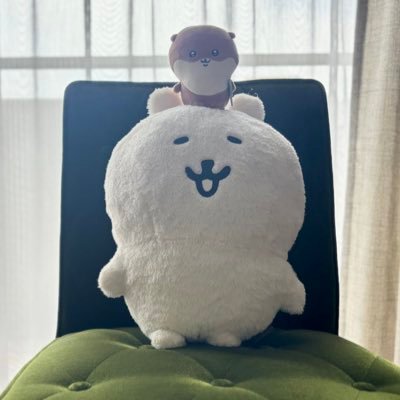 chicchanui's profile picture