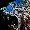 Loris Quintana Art&Design 的头像