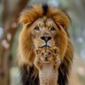 SHÆRIFF 🇰🇪 profil fotoğrafı