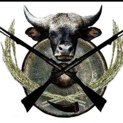 KukiZo1437's profile picture
