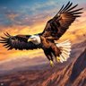 Ragav 🪂🪄 profil fotoğrafı