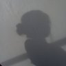 Profilbild von 슌 ✿