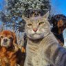 ManusDominiDei's profile picture