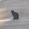 にっちゃー 的头像