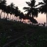 Gokulsanjay's profile picture