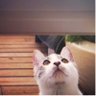 Stefanie's profile picture