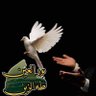 محمد فال ولد البوه profil fotoğrafı