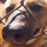 lully profil fotoğrafı