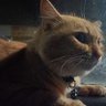 Фото профиля ขอนไม้