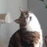 Profilbild von Cezary