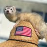 MamaDragon65's profile picture