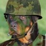 Profilbild von Frank Hope Dies Last