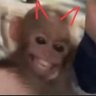 Profilbild von 👩🏿🦱