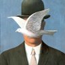 Paul Chase's profile picture