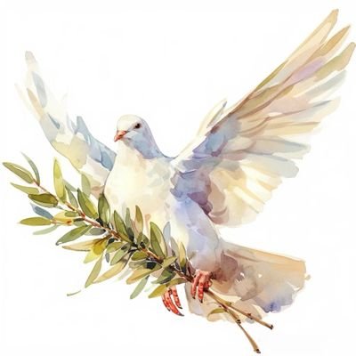 xiaoyi94230's profile picture